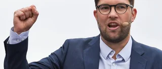 Åkesson är inte trovärdig i vinstfrågan