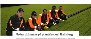 Marknaden fixar inte allt