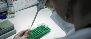 Dna-register sprids i Euoropa