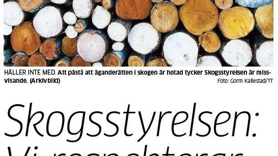 Piteå-Tidningen, 5/1 (kom ihåg skugga runt bilden)