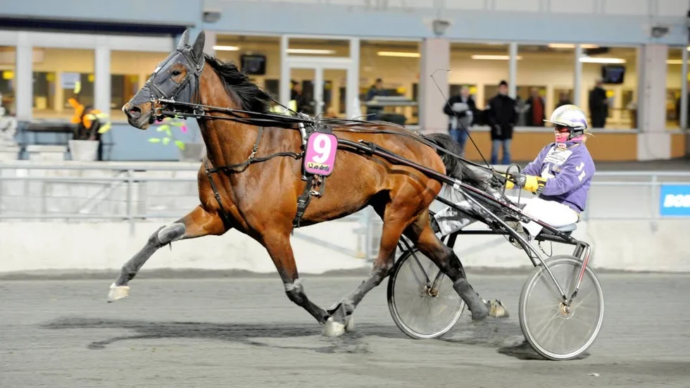 JENNY och LOUISE. Hemmalärlingen Jenny Engfors satte dit ett hattrick i V5. Hon vann  V5-2 med Kasper Sånna, V5-4 med Louise Lane F (bilden) och V5-5 med Valley Streamline.