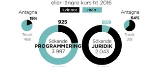 Skenande brist på programmerare
