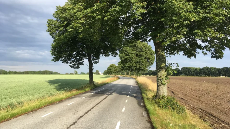 Exempel på en vanlig landsbygdsväg på 6,5 meter som har målats om med breda vägrenar, så kallad bygdevägsmålning. Bilden är tagen från en annan bygdeväg i Sverige.