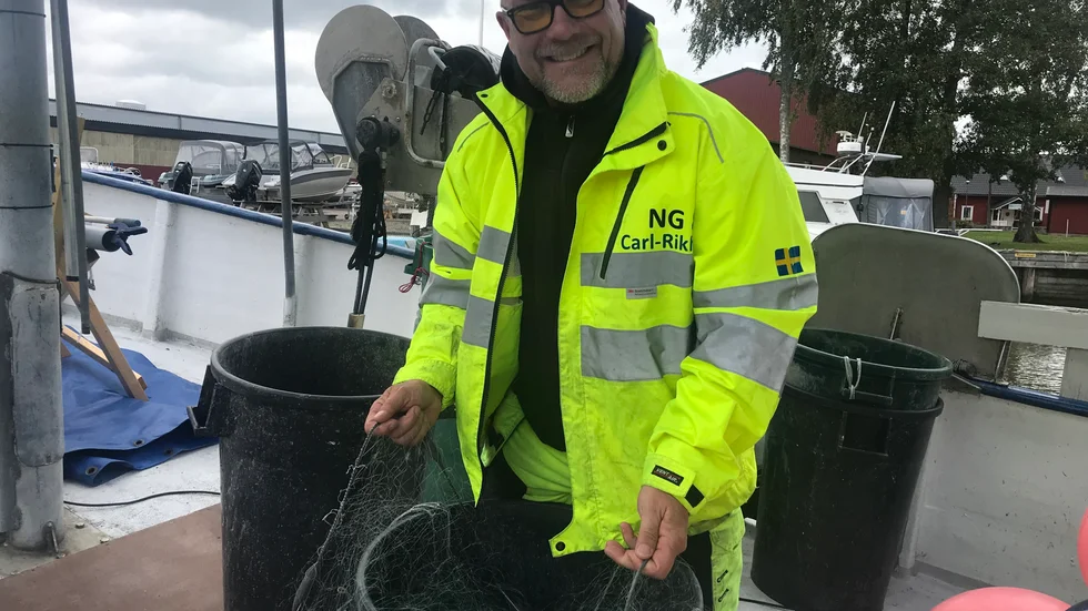 Carl-Rikhard Carlenstierna säger att det ska vara 12 grader i vattnet för att siken ska komma igång med rommen. Han måste vänta i cirka två veckor för att vattnet ska vara tillräckligt kallt för fisken.
