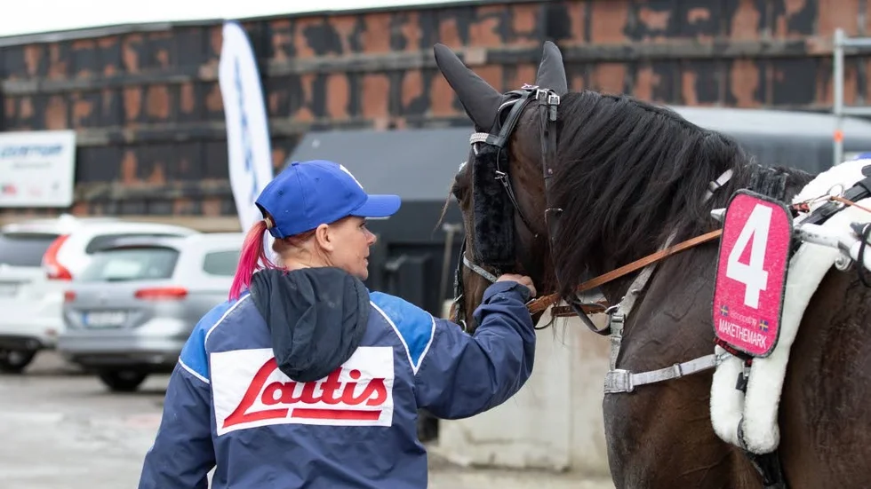 Makethemark med skötare Anne Raatikainen inför elitloppsfinalen. Nu väntar Åby Stora Pris med två miljoner kronor till vinnaren för Älvsbyhästen.