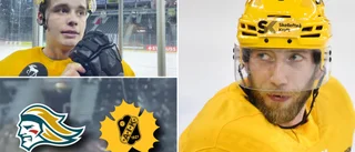 AIK:s hårding redo för tuffa Belfast: ”De kommer att jaga oss” • Talangen om upplevelsen: ”Varit på stan och kikat”