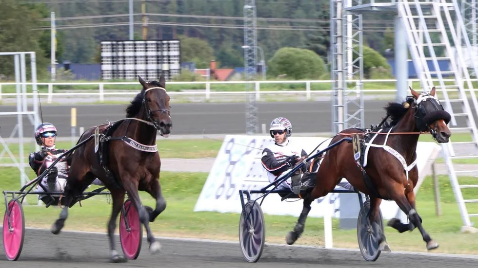Catchdrivern Mika Forss vann fyra lopp på Bodentravet under torsdagen.