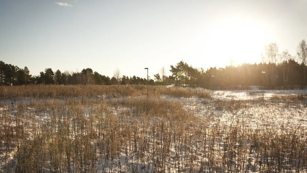 Veckan som gick – vecka 4, 11