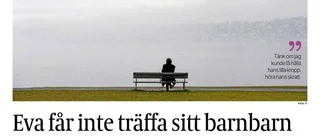 Artikelserien som väckte känslor