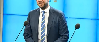 Insändare: Respektera oss Sverigedemokrater!