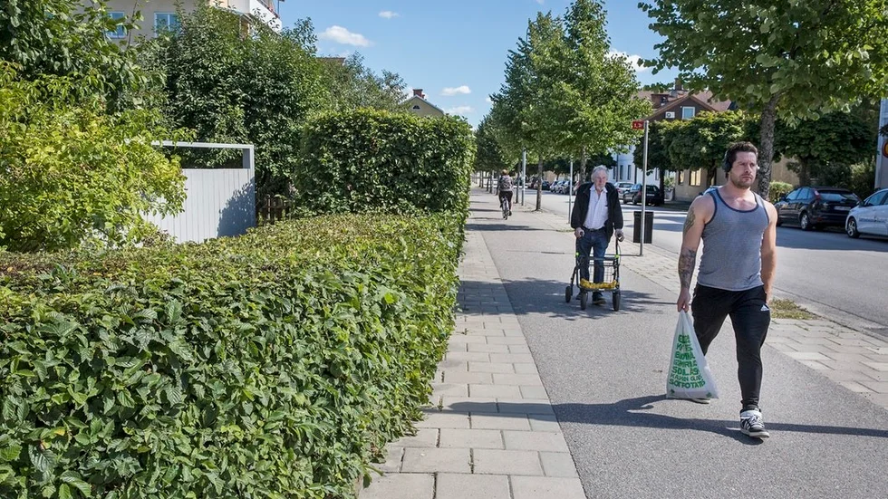 På Djulögatan finns det inte längre plats på gångbanan. Men det är inte säkert att fastighetsägaren har gjort fel. Fastighetsägaren har skött sin häck i hörnet och den är välklippt, det är inte säkert att han har gjort intrång heller. Trottoaren kan ligga på dennes mark.