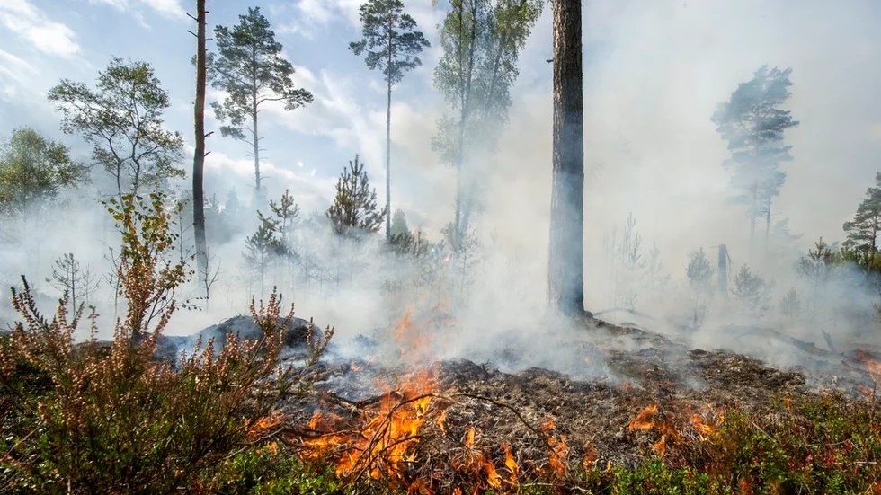 Nyköpings kommun var hårt drabbade av skogsbränder förra året, här en bild från branden i Ryssbergens friluftsområde. Nu råder det eldningsförbud i Eskilstuna och Strängnäs kommuner där marken är extrem torr.