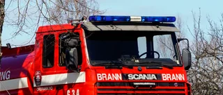 500 grisar döda i brand i Norge