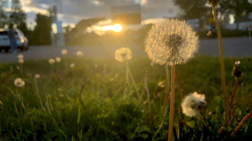 Sommarkväll och solnedgång