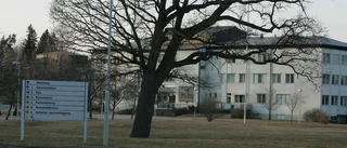 Försvann under frigång