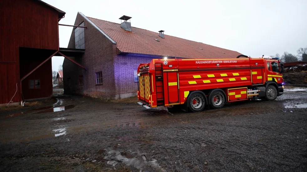 brand