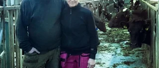 Julotta i ladugården