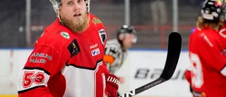 Gripen får plats i hockeyettan