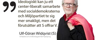 Debattkrönika: ”Kommunvalet i Nyköping är som att spå i kaffesump”