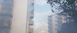 Flera husdjur döda i lägenhetsbrand