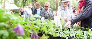 Så vill vi utveckla Österåker framåt