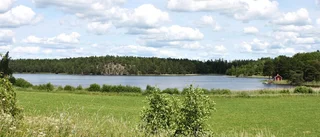 Alla utom S lovar satsa på landsbygden