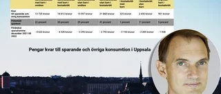 Ekonomen: "Vi börjar närma oss en smärtgräns" • Skenande kostnaderna slår mot hushållen