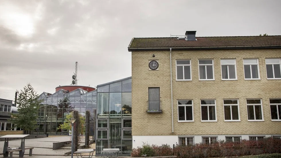 På Stenhammarskolan har förberedelserna inför PISA redan börjat, bland annat har man utsett en PISA-samordnare och en PISA IT-samordnare.