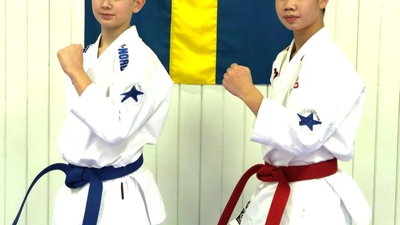 Elias Ekman och Anthony Vu är uttagna till tävlingen i Danmark i början av 2019.