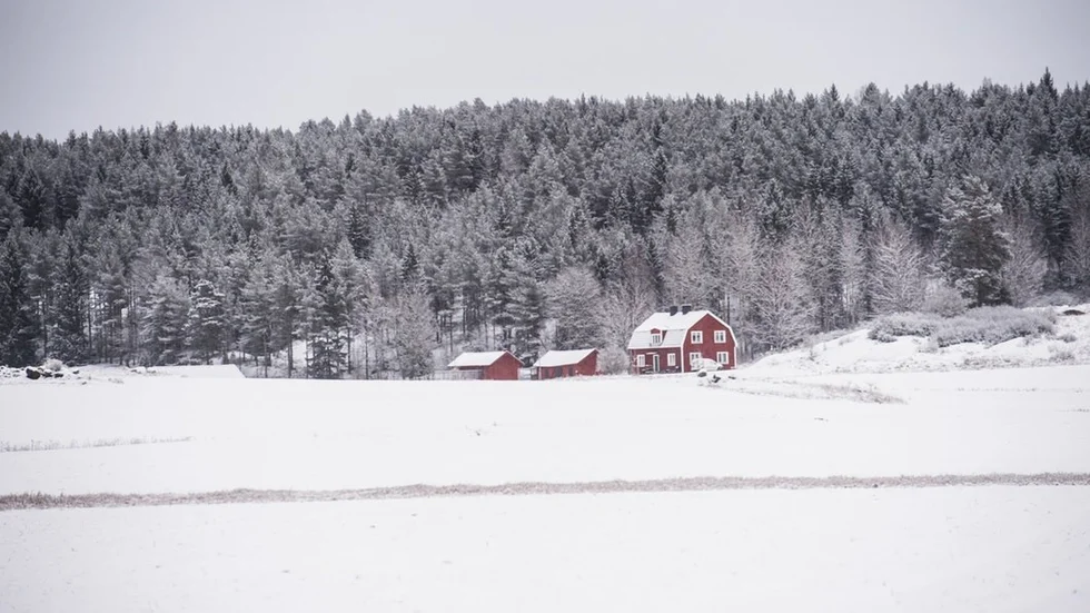Snön och kylan håller i sig ett tag till vilket är normalt för årstiden.