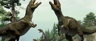 Dinosarna larmar och gör sig till
