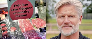 Korna åt alger – nu är köttet i butik • Slakteriets vd om nästa steg: ”Nu vet vi att det funkar”