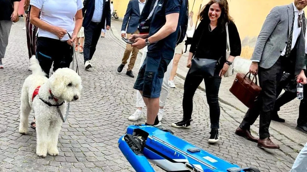 Robothunden Spot träffar en av sina hårigare släktingar på Almedalsveckan.