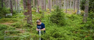 Galopperande klimatutsläppen mäts – utanför Uppsala: ”Halten ökar hela tiden”