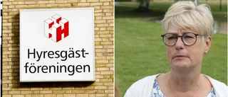 Svällande efterfrågan på hyresrätter på Gotland – 50  000 står i kö • ”Det här borde vara en signal till regionen”