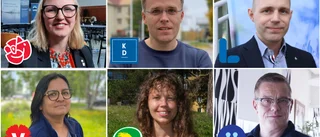 Hur ska Luleå bli hållbart? Så svarar politikerna: ✓Mer lokalproducerat ✓Solpaneler ✓Hyggesfritt skogsbruk