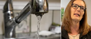 VA-chefen: ”Kan inte öka produktionen” • Så ser vattenläget ut på Gotland