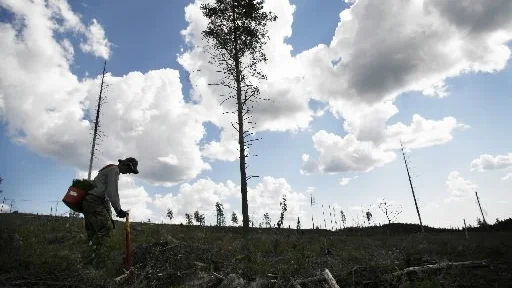 Foto: Johan Gunséus/Scanpix.