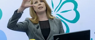 Ser över stödet till service i glesbygd