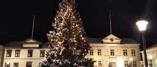 Läsarbilden: Snyggaste granen i stan