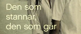 Romansvit med intressanta klasskildringar – och språk utan krusiduller