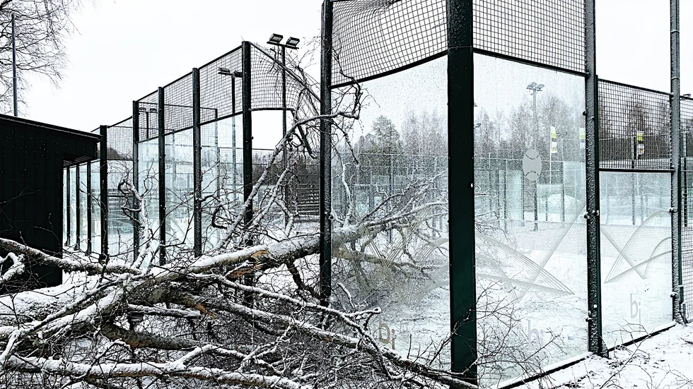 Padelbanan vid Rosendal har skadats av ett träd som fallit i stormen.