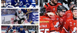 Ilestedt sällar sig till NHL-spelare efter målfyrverkeriet