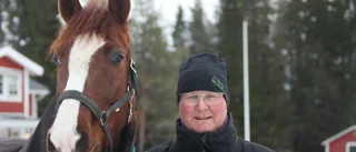 Starka hemmaprofiler inför Bodens V64-omgång; "Vet inte hur det känns att förlora med den här hästen"