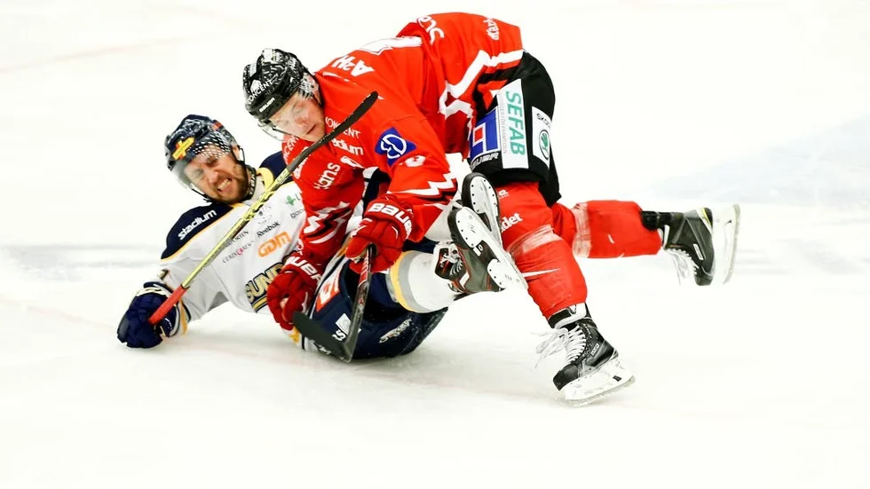 Livet. Tillvaron är som en hockeymatch. Det är mycket man ska hinna med innan slutsignalen går.