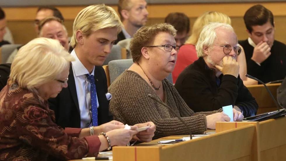 Hinder för arbete. Mia Sköld (MP) (i mitten av bilden) vill göra det lättare för asylsökande att arbeta.