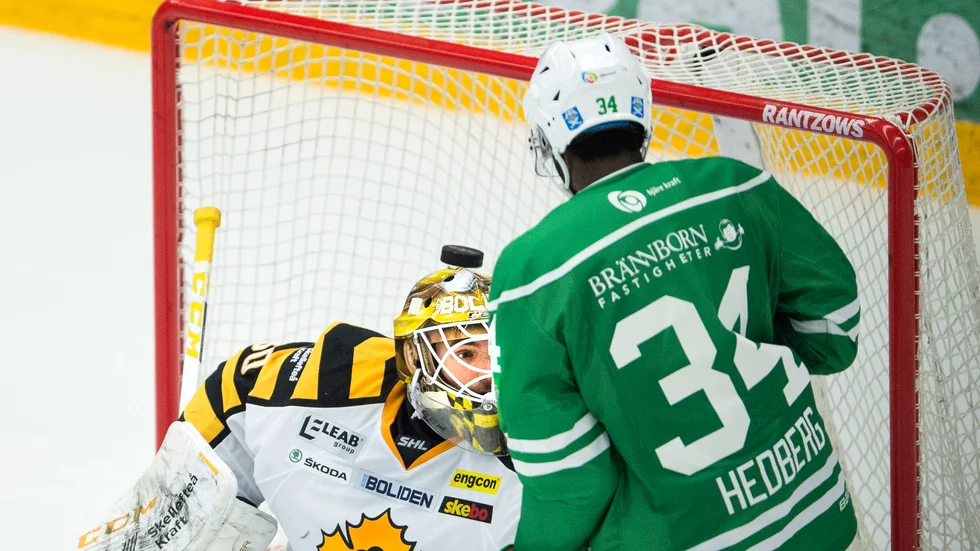 SVÅR MATCH. Rögle var vassa offensivt men Gustaf Lindvall var stabil. Foto: Björn Lindgren/TT.