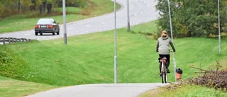 En lös hund är en farlig hund