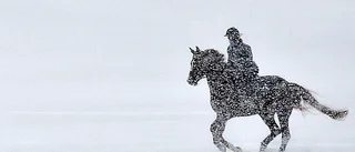 Tryggare för oss som rider