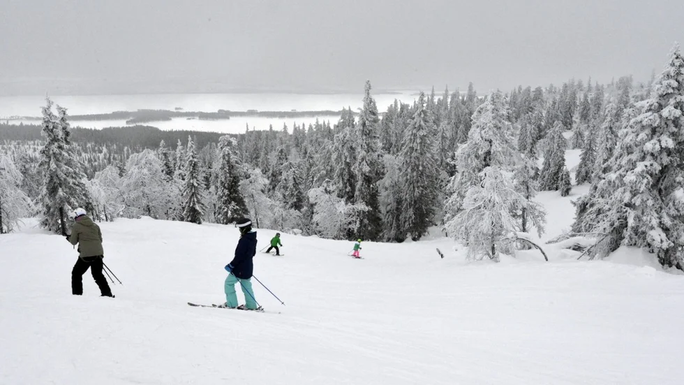 Galtis har haft lite otur med vädret i februari. Men det har inte märkts av på biljettförsäljningen. Foto: Sofie Abrahamsson